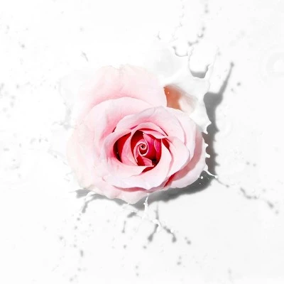 Pantene Blends Moisture Boost With Rosewater Shampoo  9.6 fl oz
