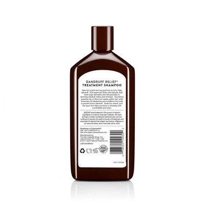 Jason Dandruff Relief Treatment Shampoo  12 fl oz