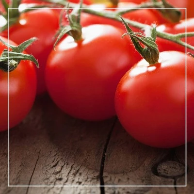 Bertolli Organic Tomato & Basil Pasta Sauce  24oz