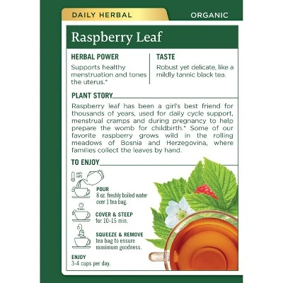 Traditional Medicinals Organic Raspberry Leaf Herbal Tea  16ct