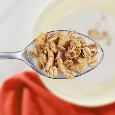 Kashi GoLean Crisp! Cinn Crumble Multigrain Cluster Breakfast Cereal 14oz