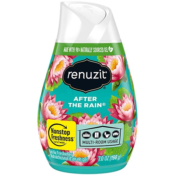 Renuzit Solid Gel Air Freshener Cone, After the Rain, 1 Count