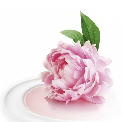 Dove Renewing Peony & Rose Oil Nourishing Body Wash 34 fl oz