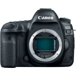 Canon Canon EOS Rebel T8i DSLR Camera (Body Only)
