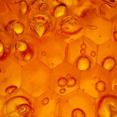 Garnier Whole Blends Honey Treasures Repairing Conditioner  22 fl oz