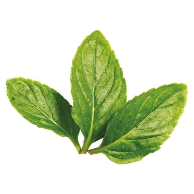 Tazo Refresh Herbal Tea  20ct