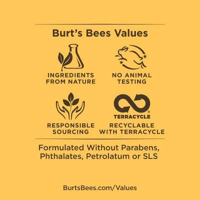 Burt's Bees Renew Natural Hydrogel Eye Mask 1ct