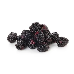  Blackberries  12oz Package