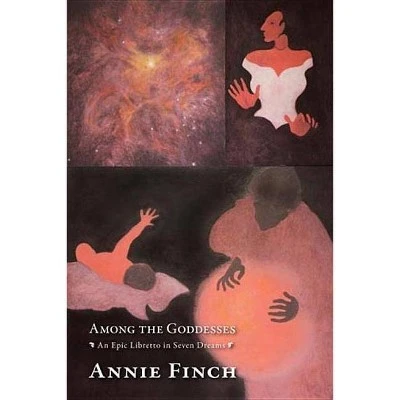 Among the Goddesses  by Annie Finch (Paperback)