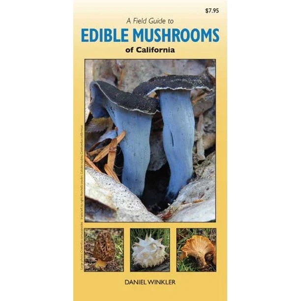 A Field Guide to Edible Mushrooms of California  by Daniel Winkler (Paperback)