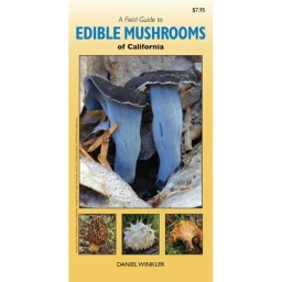 Daniel Winkler A Field Guide to Edible Mushrooms of California  by Daniel Winkler (Paperback)