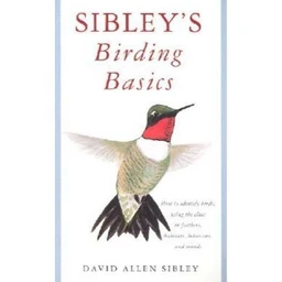  Sibley's Birding Basics (Sibley Guides) by David Allen Sibley (Paperback)